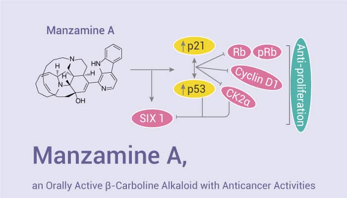 Manzamine A, an Orally Active β-Carboline Alkaloid with Antiviru, Antimalarial and Anticancer Activities