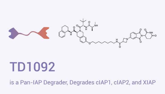 TD1092 is a pan-IAP degrader, degrades cIAP1, cIAP2, and XIAP