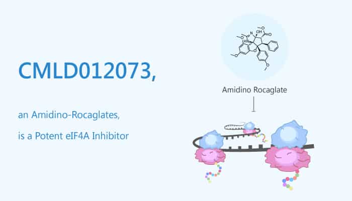 CMLD012073, an Amidino-Rocaglates, is a Potent eIF4A Inhibitor