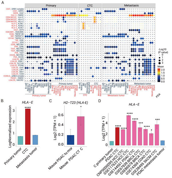 Figure 6. Western Detection of tissue samples from Fbx14-/ -mice[9]