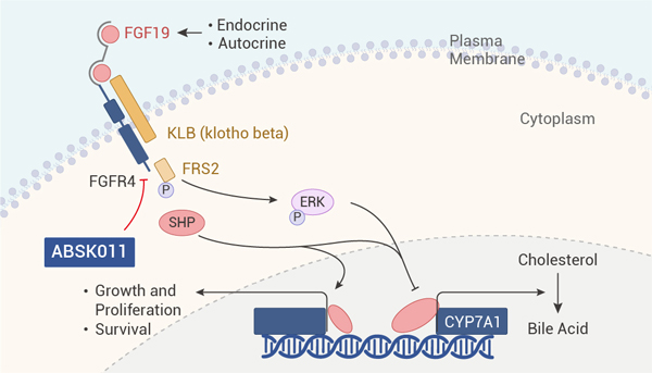 Figure 5. FBXL4-KO induces mitophagy in Hela cells