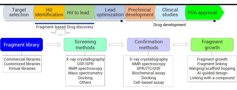 Fig 10. Target-based drug discovery steps and FBDD flow chart