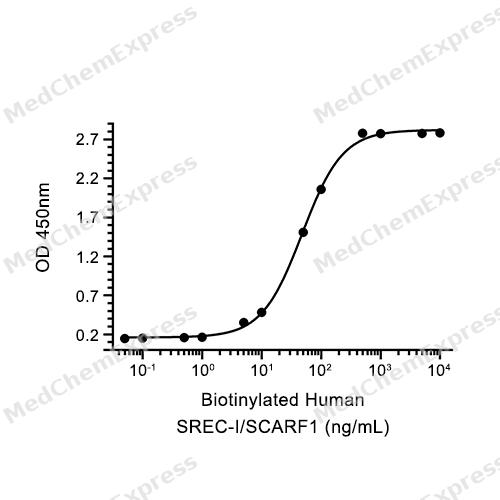 Experimental Validation Results for SREC-I/SCARF1 Protein, Human (HEK293, His)