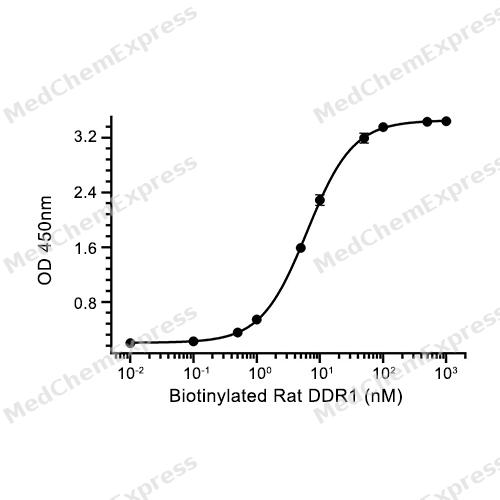 Experimental Validation Results for DDR1 Protein, Rat (HEK293, His)