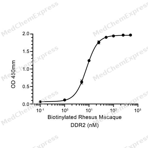 Experimental Validation Results for DDR2 Protein, Rhesus Macaque (HEK293, His)