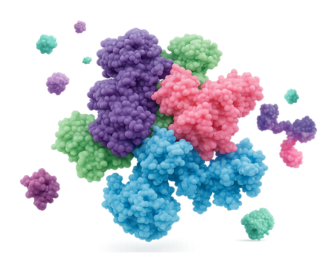 Subscribe Now to the List of Recombinant Proteins