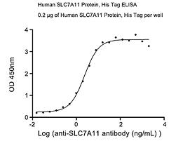 E.coli Cell-Free Expression System