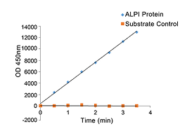 Mammalian Expression System