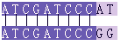 DNA sequence alignment