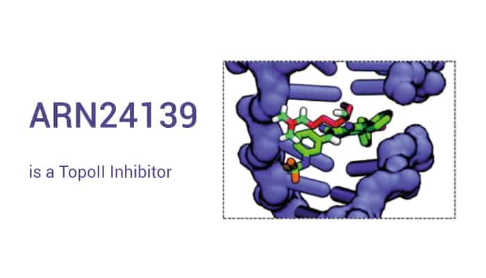 ARN24139 is a TopoII Inhibitor with Promising Antiproliferative Activity