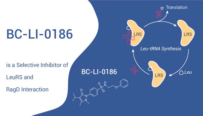 MC0704 is a STAT3 Inhibitor for Triple-negative Breast Cancer