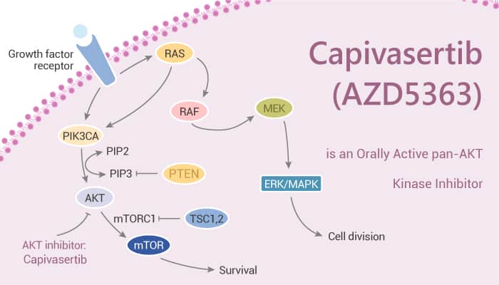 Capivasertib (AZD5363) is an Orally Active pan-AKT Kinase Inhibitor