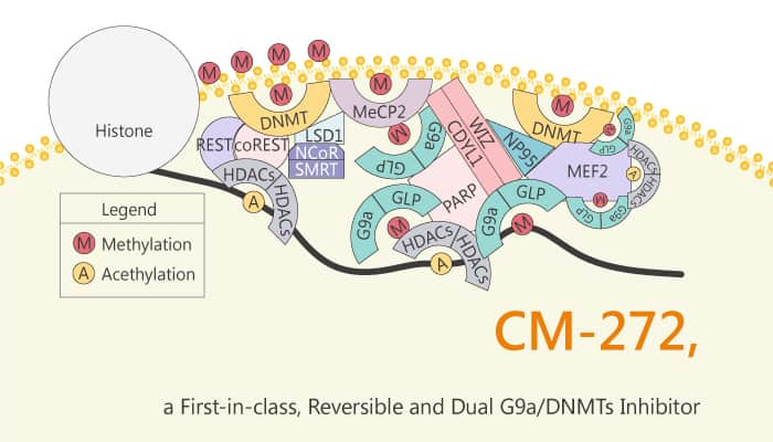 CM-272, a First-in-class, Reversible and Dual G9a/DNMTs Inhibitor