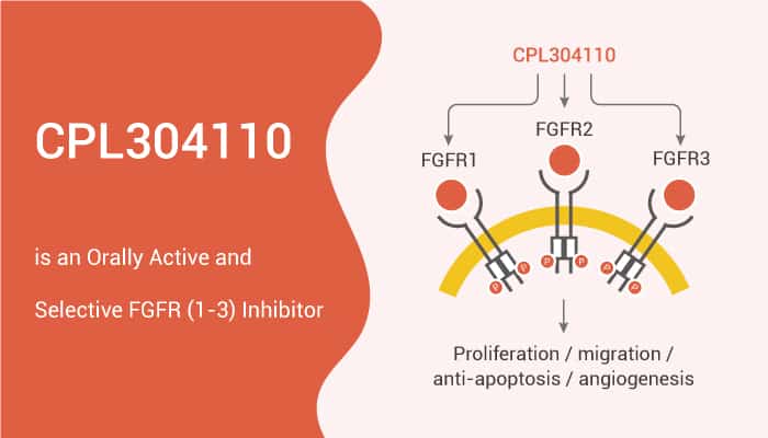 CPL304110 is an Orally Active and Selective FGFR(1-3) Inhibitor