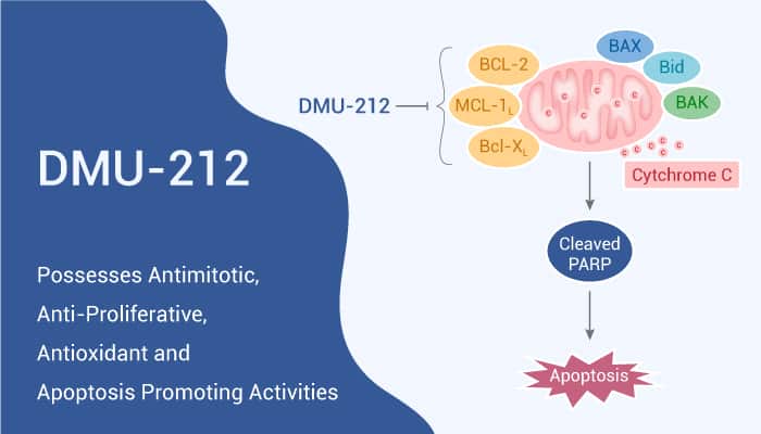 DMU-212 Possesses Antimitotic, Anti-Proliferative, Antioxidant and Apoptosis Promoting Activities