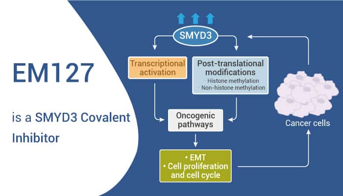 EM127 is a SMYD3 Covalent Inhibitor