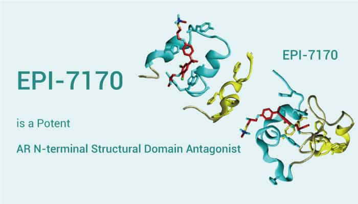 EPI-7170 is a Potent AR N-terminal Structural Domain Antagonist