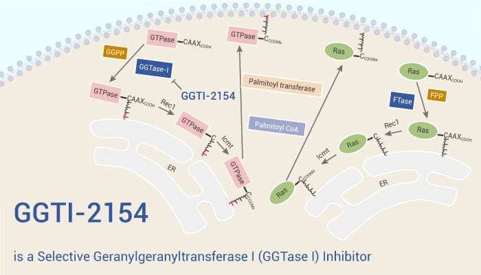 GGTI-2154 is a Selective Geranylgeranyltransferase I (GGTase I) Inhibitor