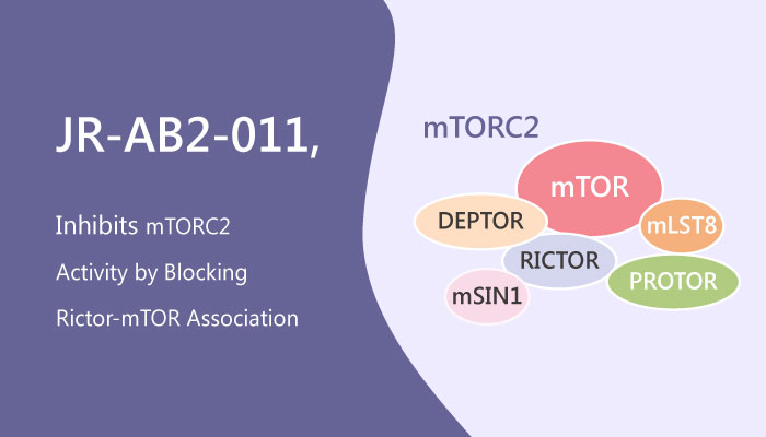 JR-AB2-011, a Potential Inhibitor of mTORC2 Activity in Glioblastoma Multiforme (GBM)