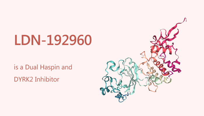 LDN-192960 is a Dual Haspin and DYRK2 Inhibitor
