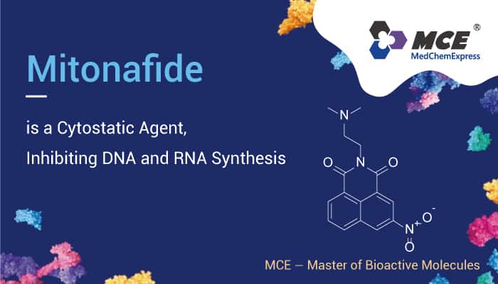 Mitonafide is a Cytostatic Agent, Inhibiting DNA and RNA Synthesis