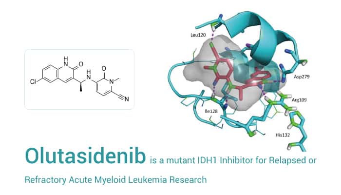 Olutasidenib, a Brain-Penetrant Mutant IDH1 Selective Inhibitor For AML Research