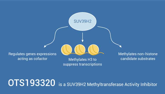 OTS193320 is a SUV39H2 Methyltransferase Activity Inhibitor