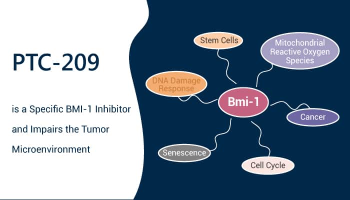 PTC-209 is a Specific BMI-1 Inhibitor and Impairs the Tumor Microenvironment