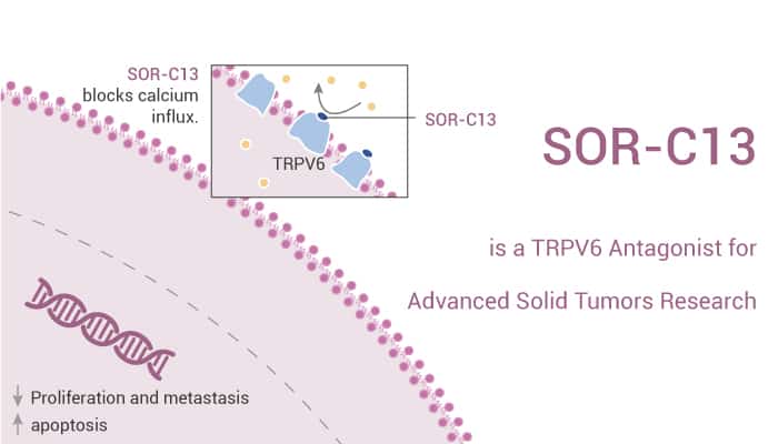 SOR-C13 is a High-Affinity TRPV6 Antagonist for Advanced Solid Tumors Research