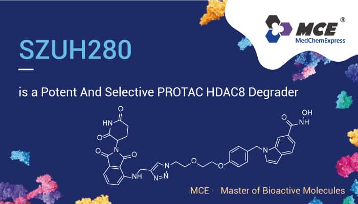 SZUH280 is a Potent And Selective PROTAC HDAC8 Degrader