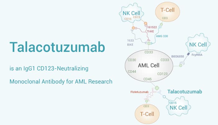 Talacotuzumab is an IgG1 CD123-Neutralizing Monoclonal Antibody