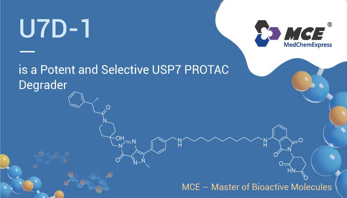 U7D-1 is a Selective USP7 PROTAC Degrader For Leukemia Research
