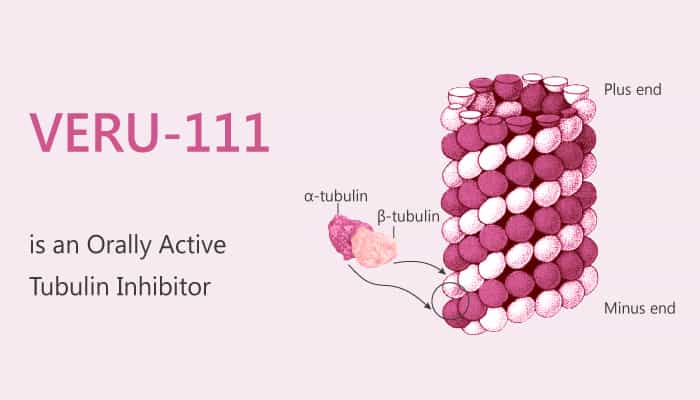 VERU-111 is an Orally Active Tubulin Inhibitor