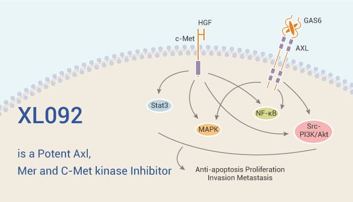 XL092 is a Potent Axl, Mer and C-Met kinase Inhibitor