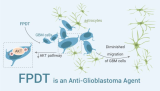 FPDT is an anti-glioblastoma agent and shows anti-glioblastoma activity by AKT pathway.