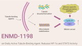 ENMD-1198, an Orally Active Tubulin-Binding Agent, Reduces HIF-1α and STAT3 Activity