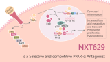 NXT629 is a Selective and Competitive PPARα Antagonist