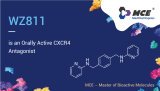WZ811 is an Orally Active CXCR4 Antagonist
