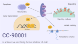 CC-90001 is a Selective and Orally Active Inhibitor of JNK
