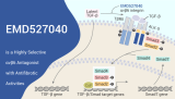 EMD527040 is a Highly Selective αvβ6 Antagonist with Antifibrotic Activities