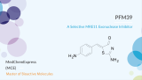 PFM39 is a Selective MRE11 Exonuclease Inhibitor