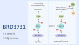 BRD3731 is a Selective GSK3β Inhibitor