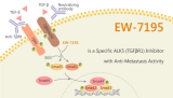 EW-7195 is a Specific ALK5 (TGFβR1) Inhibitor with Anti-Metastasis Activity