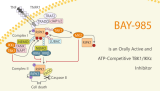 BAY-985 is an Orally Active and ATP-Competitive TBK1/IKKε  Inhibitor