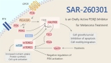 SAR-260301 is an Orally Active PI3Kβ Inhibitor for Melanoma Treatment