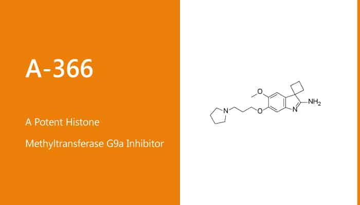 A-366 is a Potent Histone Methyltransferase G9a Inhibitor