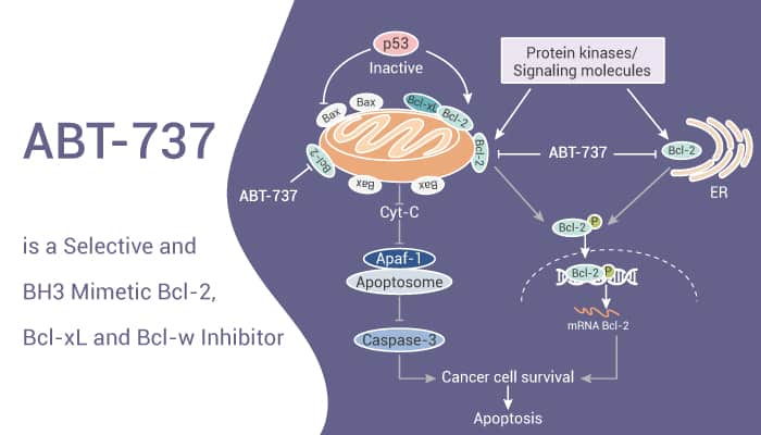 ABT-737 is a Selective and BH3 Mimetic Bcl-2, Bcl-xL and Bcl-w Inhibitor