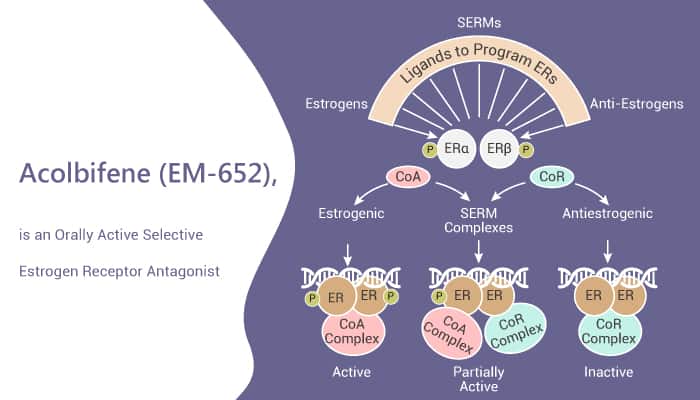 Acolbifene (EM-652), is an Orally Active Selective Estrogen Receptor Antagonist