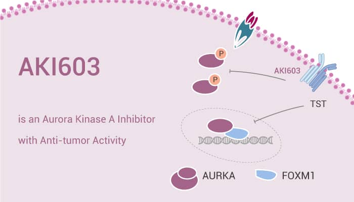 AKI603 is an Aurora Kinase A Inhibitor with Anti-tumor Activity