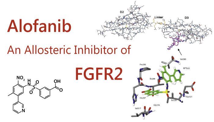 Alofanib, An Allosteric Inhibitor of FGFR2